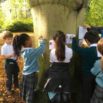 Y3 Botanic Garden trip 4